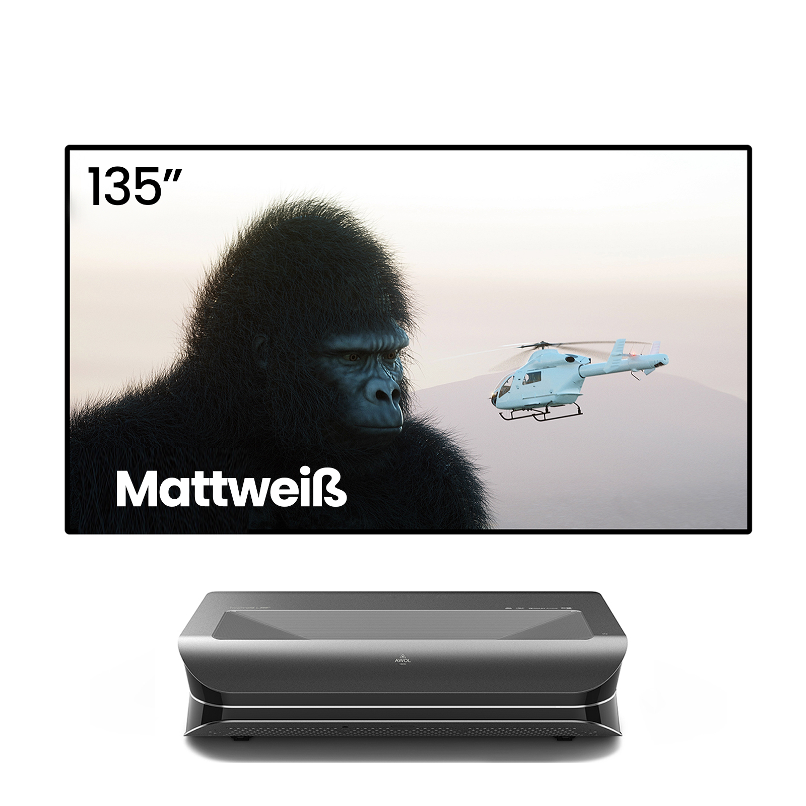 LTV-2500 + 100''-120'' Mattweiße Leinwand Paket