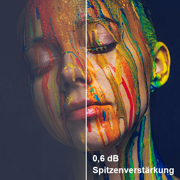 Die 0,6 dB Spitzenverstärkung des Cinematic ALR Screens sorgt für leuchtende Farben und maximale Bildklarheit mit dem LTV-3000 Pro.