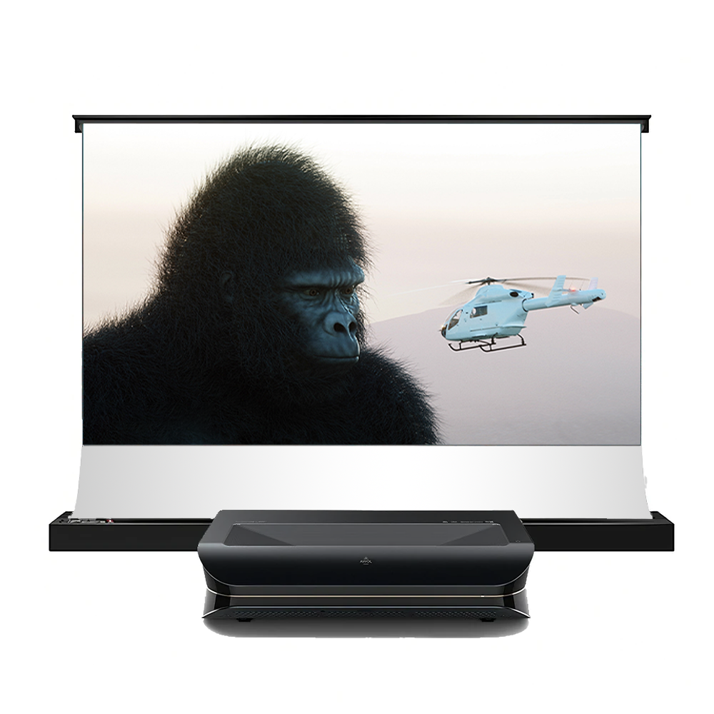 LTV-2500 + 100'' -120'' Matte white floor rising screen package