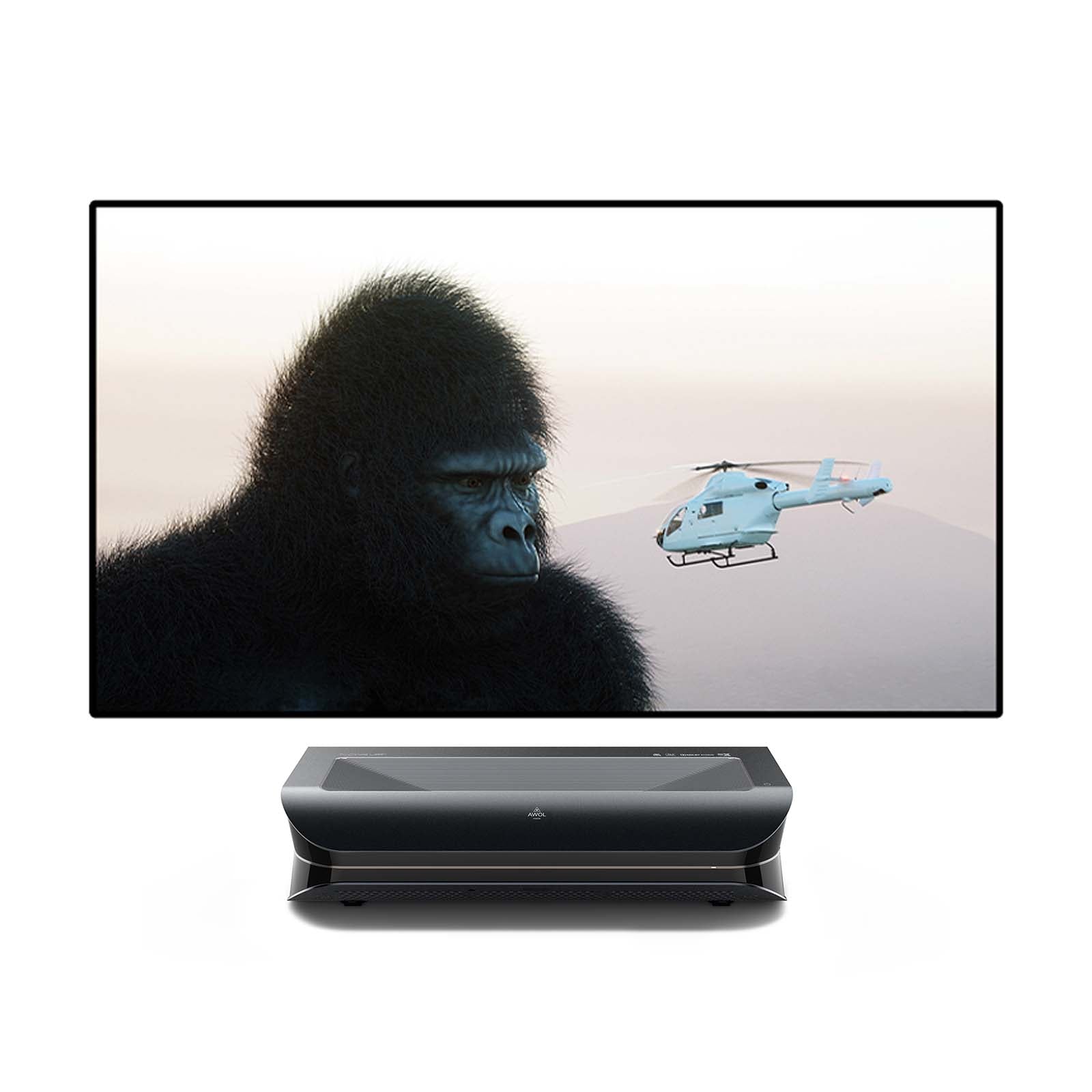 LTV-2500 + 100''-120'' Mattweiße Leinwand Paket