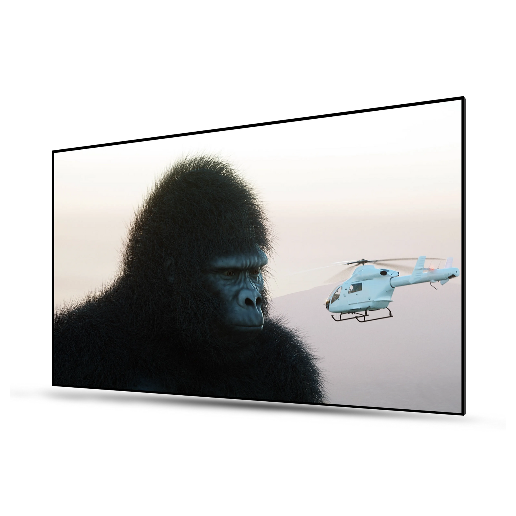 100'' -150'' Matte white canvas