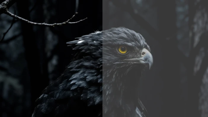 Nahaufnahme eines Vogels zur Veranschaulichung von dunklen Bilddetails und Kontrastleistung