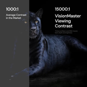 VisionMaster Pro2