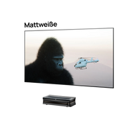 LTV-3000 Pro + 100''-120'' Matte White Screen