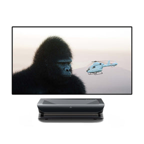 LTV-2500 + 120"-150" Matte White Screen Package