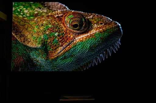 Take the next step in 4K, a truly huge 4K